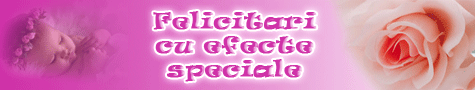 Felicitari